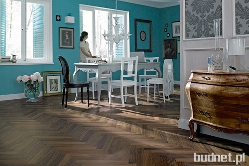Home Concept